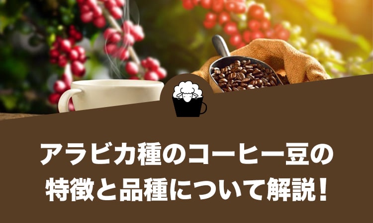 アラビカ種のコーヒー豆の特徴と品種について解説