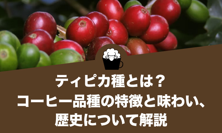 ティピカ種とは？コーヒー品種の特徴と味わい、歴史について