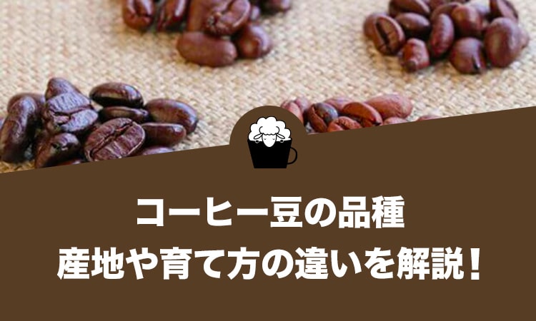 コーヒー豆の品種